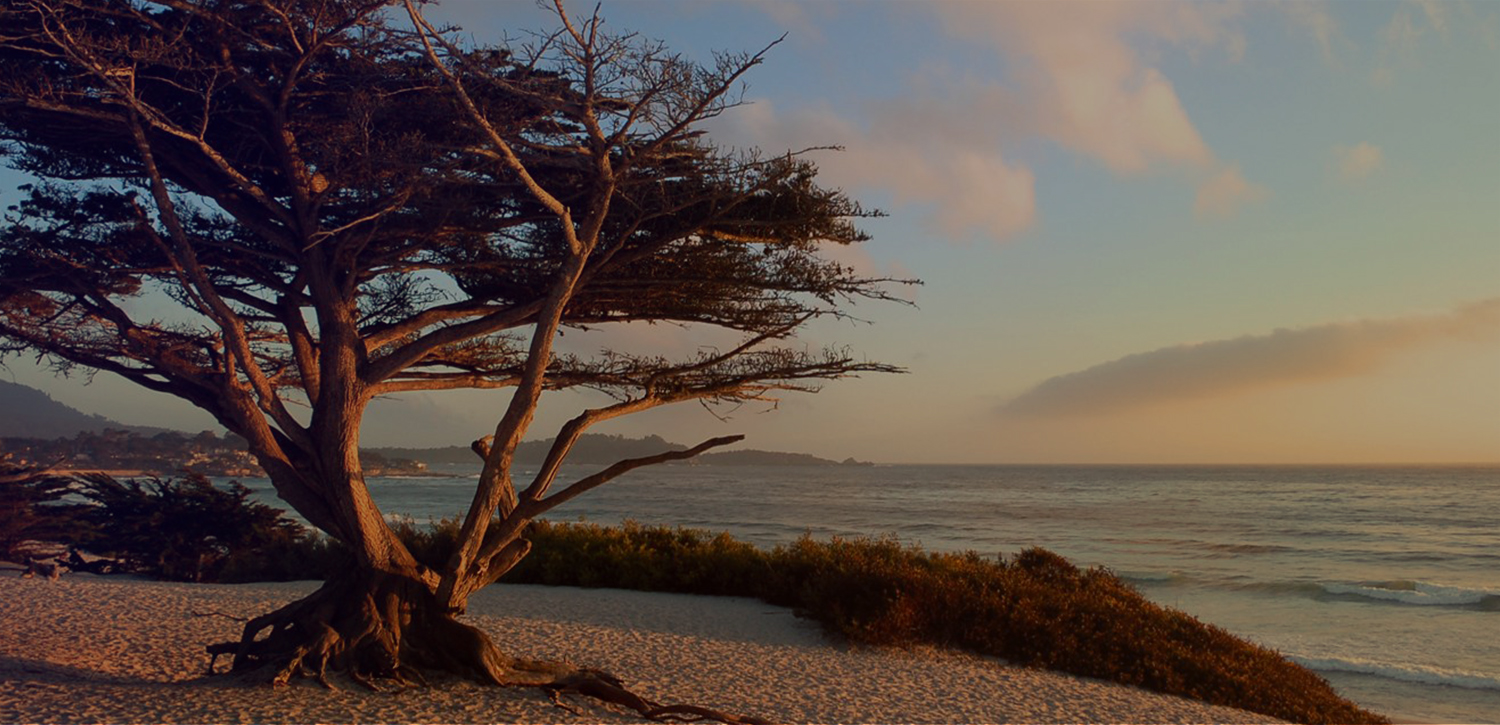 STARGAZER INN & SUITES IS JUST MINUTES FROM CARMEL-BY-THE-SEA